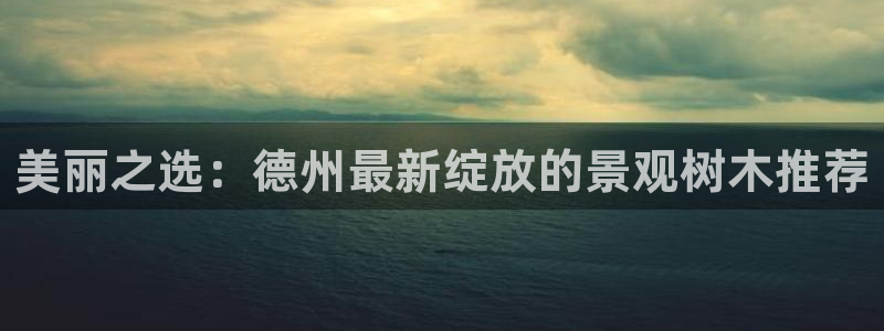 卧龙沙滩娱乐