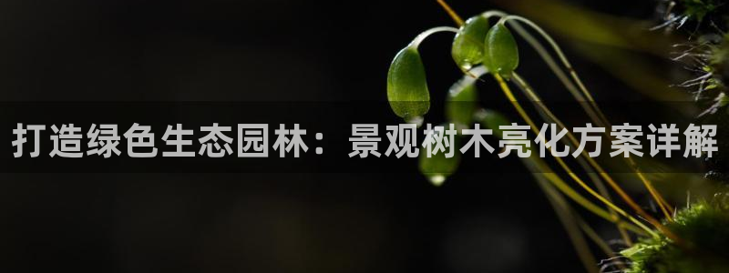 卧龙娱乐设备地址
