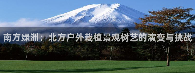 凤岗卧龙台球娱乐会所