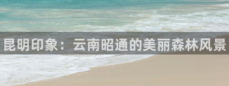 郑州卧龙娱乐王凯旋简历