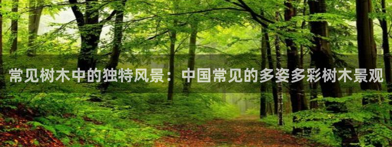 星鸿娱乐 0 47卧龙