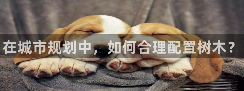 卧龙娱乐属于什么公司