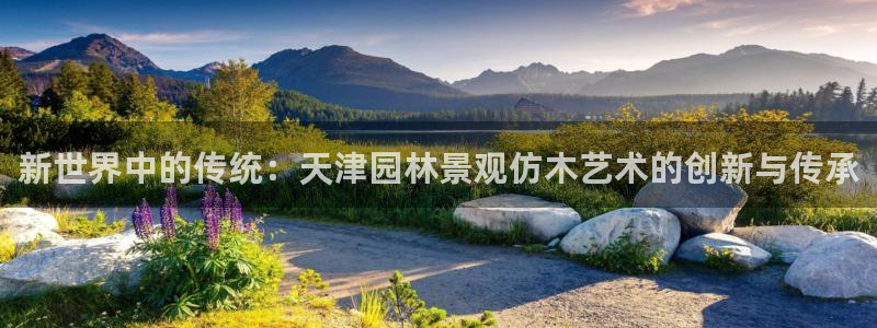 卧龙区维也纳娱乐会所