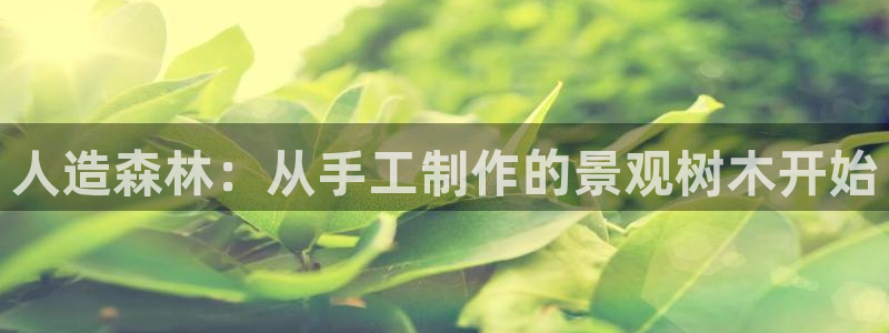 E彩娱乐 卧龙主管60447