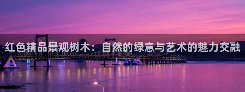 泰安卧龙大观娱乐中心