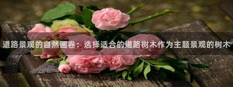 卧龙娱乐月