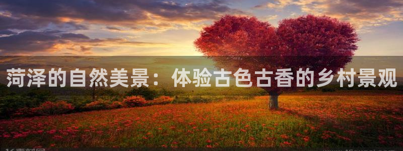 卧龙娱乐设备公司