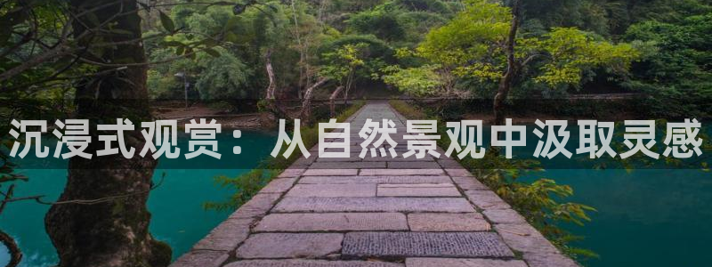 卧龙娱乐怎样