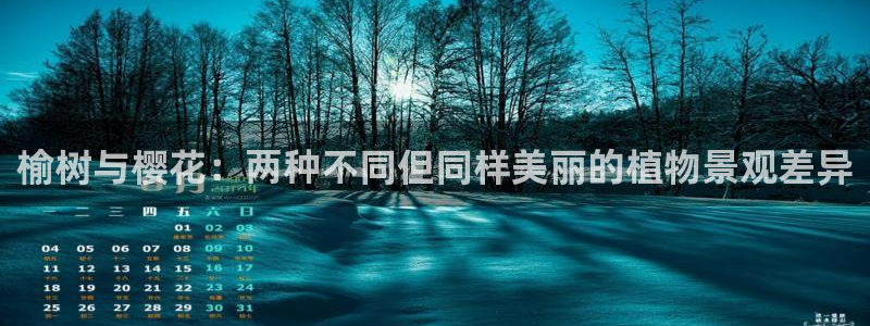 观海卧龙娱乐