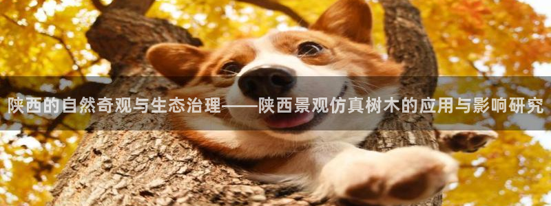 卧龙凤雏娱乐减肥