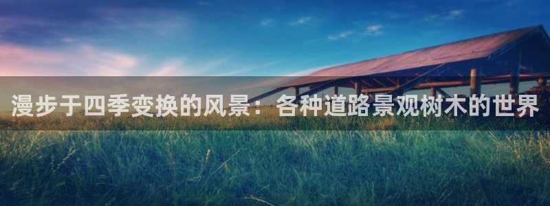 卧龙区微微娱乐商城