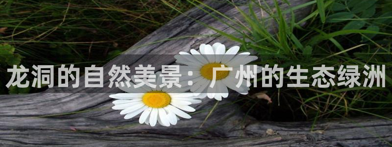 卧龙娱乐违法吗