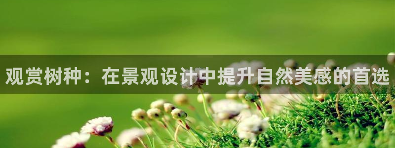 卧龙娱乐天
