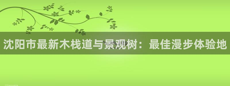 卧龙娱乐975949