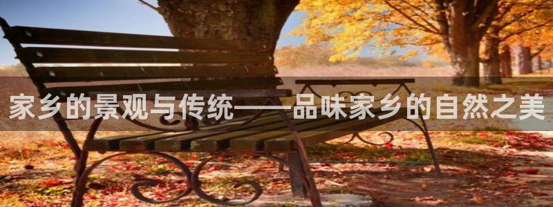 we娱乐 卧龙主管60447