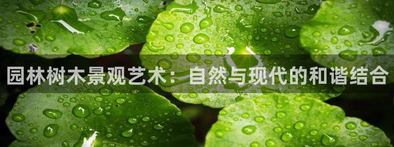 卧龙娱乐老板是谁呀视频：园林树木景观艺术：自然与现代的和谐结合