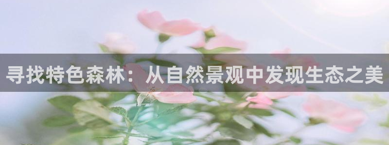 we娱乐 卧龙股东60447
