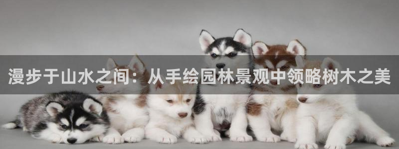 卧龙娱乐若七九九