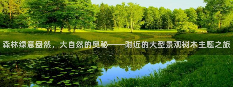 卧龙娱乐招商主管薪资