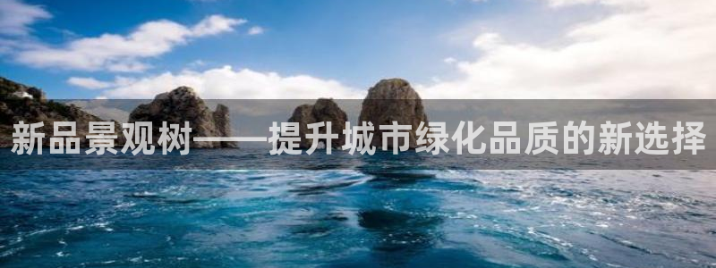 卧龙区休闲娱乐推荐：新品景观树——提升城市绿化品质的新选择