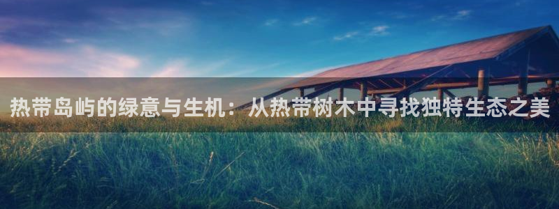 卧龙儿童娱乐海洋球：热带岛屿的绿意与生机：从热带树木中寻找独特生态之美