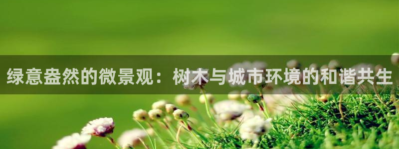 卧龙ktv娱乐会所电话：绿意盎然的微景观：树木与城市环境的和谐共生