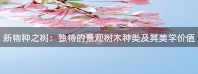 卧龙娱乐怎样