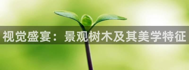 卧龙娱乐设备地址