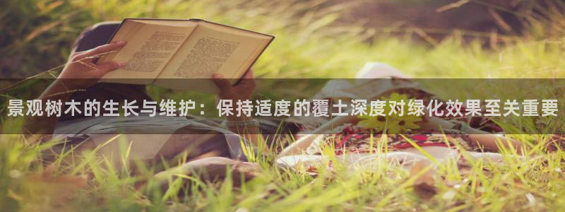 卧龙娱乐彩票兑奖中心：景观树木的生长与维护：保持适度的覆土深度对绿化效果至关重要