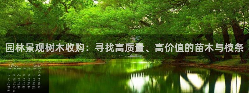 卧龙吟娱乐将