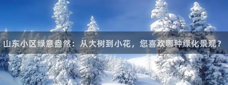 南阳卧龙娱乐会所