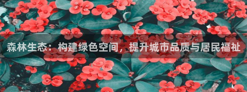 卧龙娱乐招商主管工资