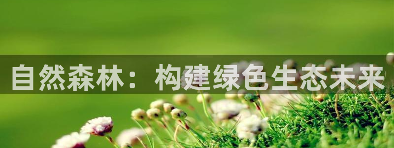 卧龙湾娱乐项目有哪些