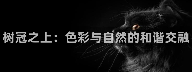 卧龙娱乐主管招聘