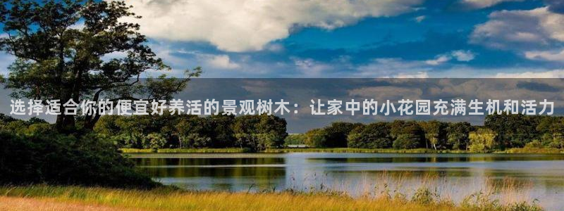 太和卧龙娱乐会所