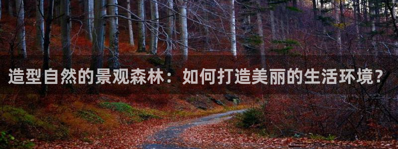 卧龙娱乐主管是谁