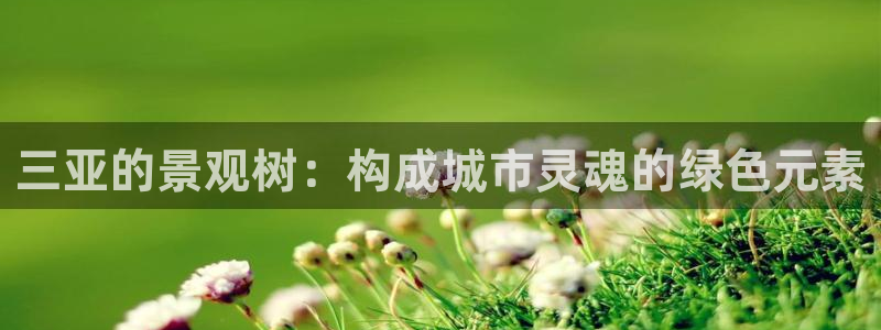卧龙娱乐总代理电话