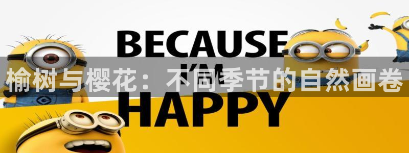 卧龙娱乐老板叫什么