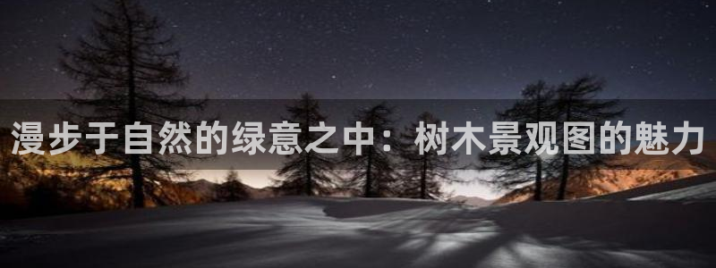 卧龙娱乐属于什么公司