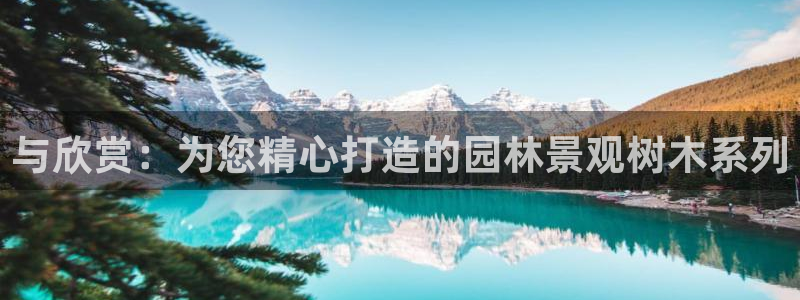 卧龙娱乐彩票app：与欣赏：为您精心打造的园林景观树木系列