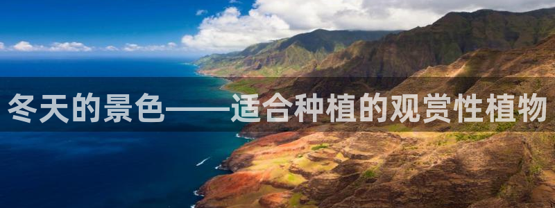 卧龙娱乐代理：冬天的景色——适合种植的观赏性植物