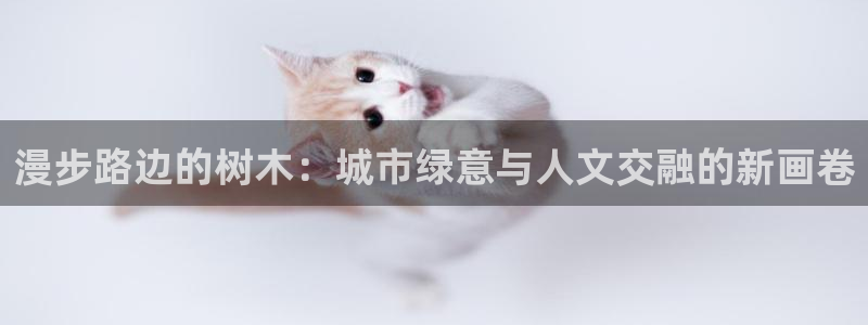 卧龙娱乐后：漫步路边的树木：城市绿意与人文交融的新画卷