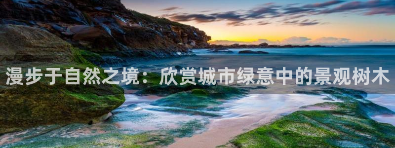 卧龙娱乐975949