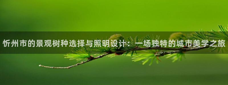 卧龙台球娱乐馆：忻州市的景观树种选择与照明设计：一场独特的城市美学之旅
