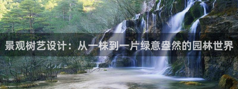 卧龙娱乐号：景观树艺设计：从一株到一片绿意盎然的园林世界