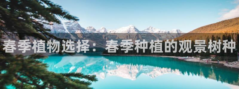 西安卧龙娱乐：春季植物选择：春季种植的观景树种