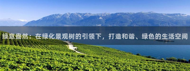 卧龙看娱乐