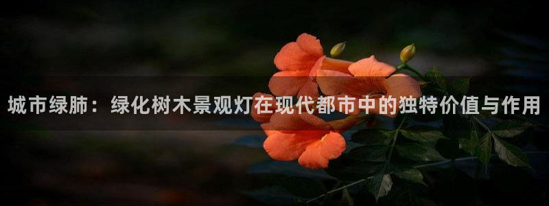 卧龙凤雏娱乐收入