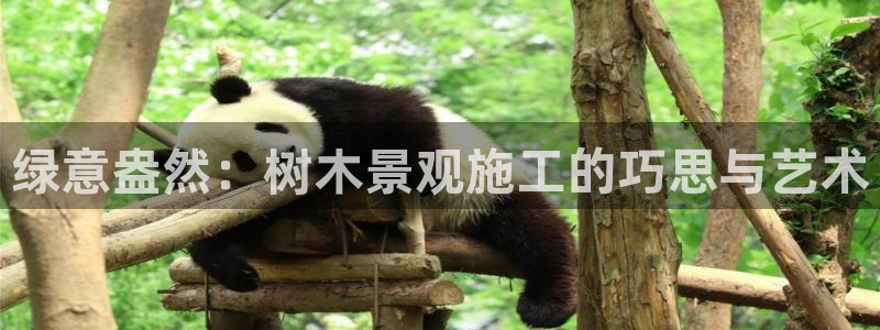 卧龙娱乐桐333OO：绿意盎然：树木景观施工的巧思与艺术