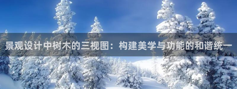 卧龙台球娱乐